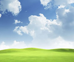 Competitive Landscape