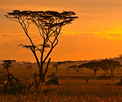 An Insight from Africa: Escaping from Tech, or Escaping Thanks to Tech?