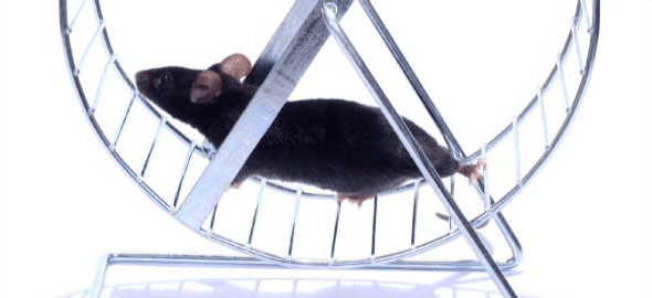 Having Trouble Getting IT Noticed?