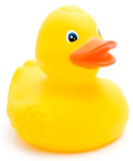 rubber duckie
